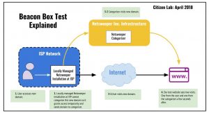 Figure 1.3. An explanation of the flow of information in the Beacon Box test.