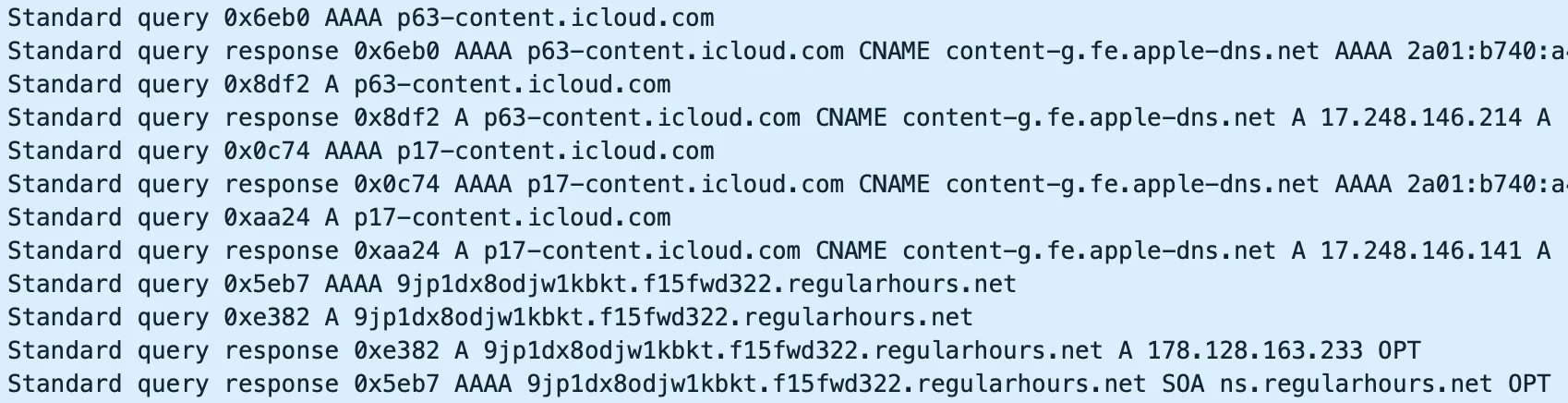 Screenshot of a 19 July packet capture from Almisshal’s phone showing DNS lookups for iCloud Partitions immediately before a lookup for a Pegasus Installation Server.